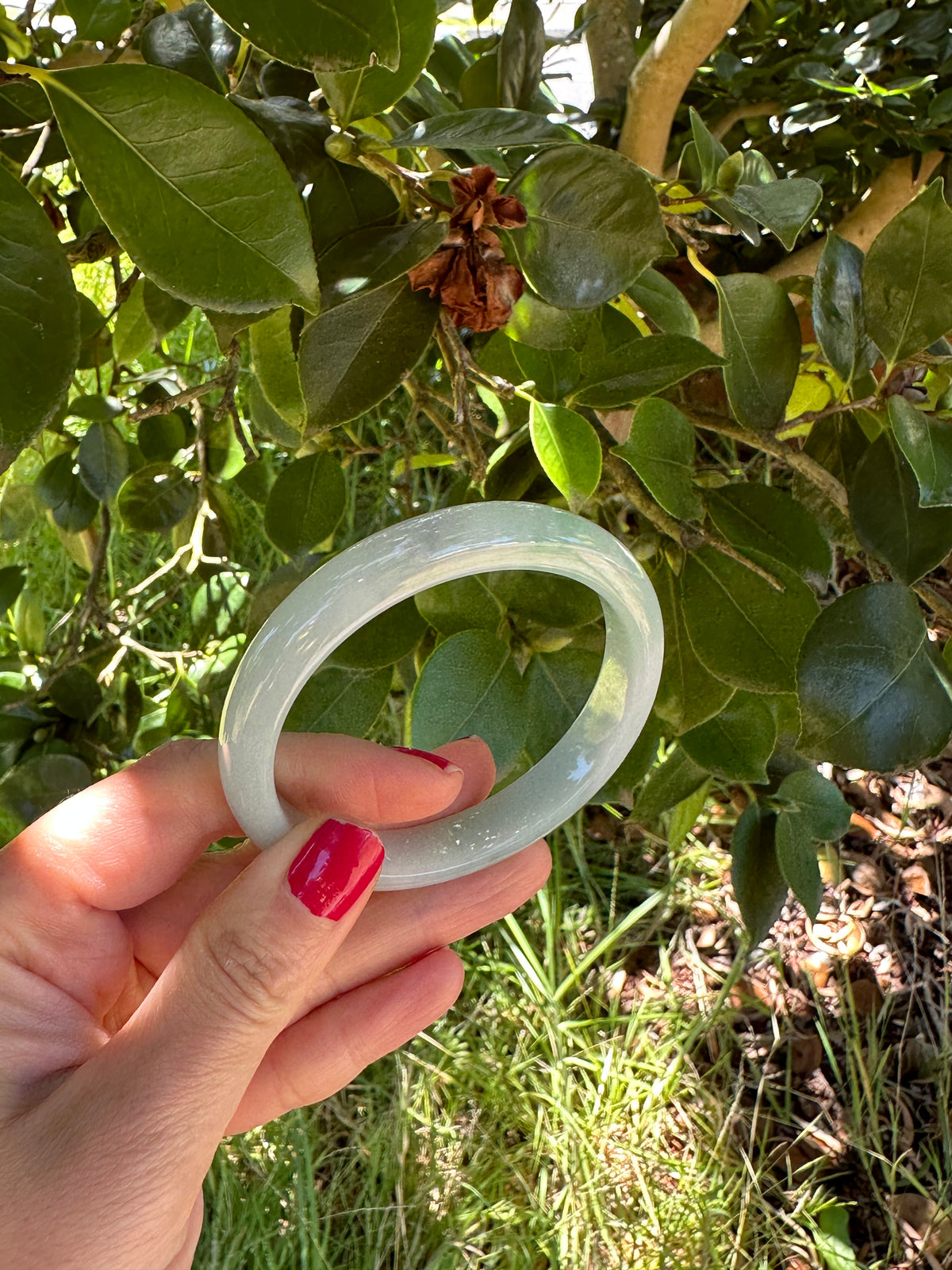 Real Untreated Light Green and Pale Green with White Jadeite Jade Bangle Bracelet - 55mm Semi Round