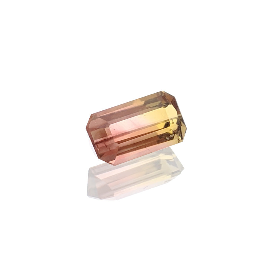 0.65ct Bi-Colour Tourmaline - MAYS