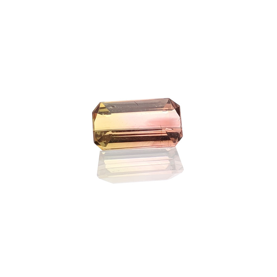 0.65ct Bi-Colour Tourmaline - MAYS